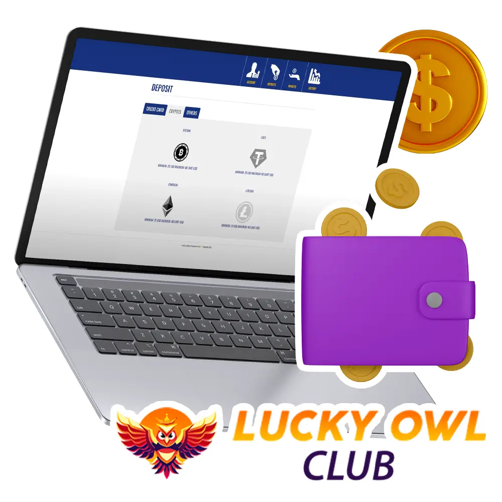 Payment Options at Lucky Owl secure and flexible choices.