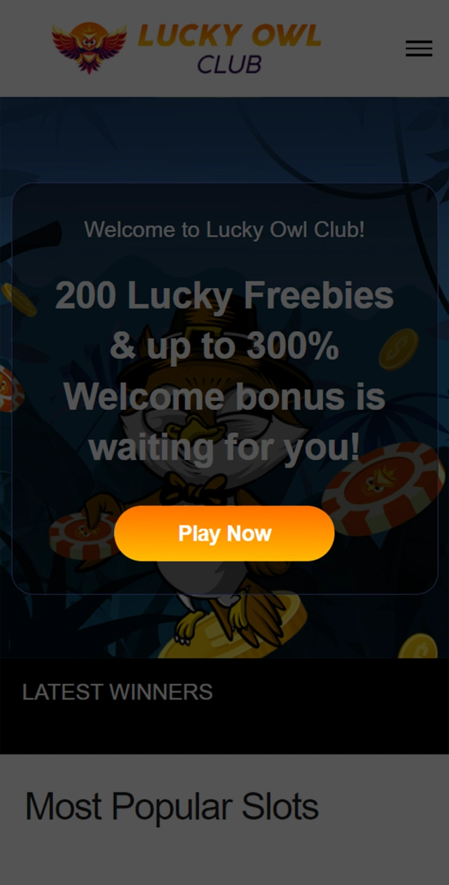 Go to the official Lucky Owl website.